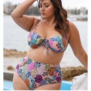 ArteSand Bikini Bottoms Salmagundi Botticelli High Waist Swim Pant NWT PLUS SIZE